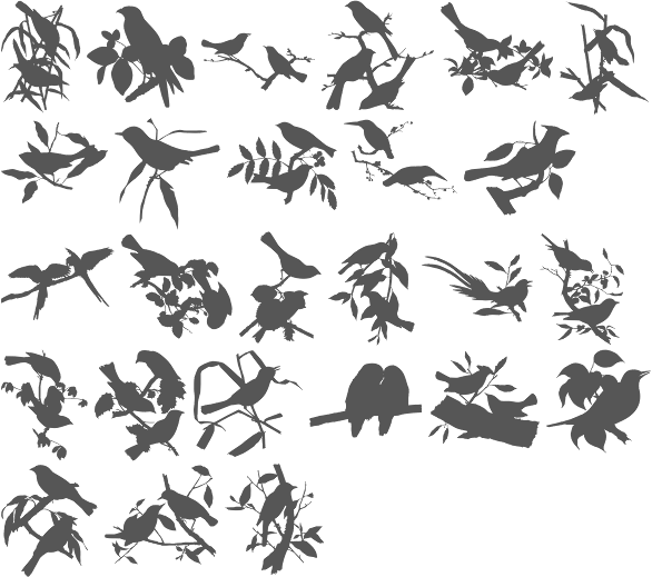 586x519 Birds On Branch Love Bird Silhouette Clip Art