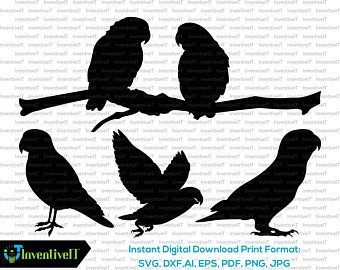 340x270 Love Birds Tattoo Etsy