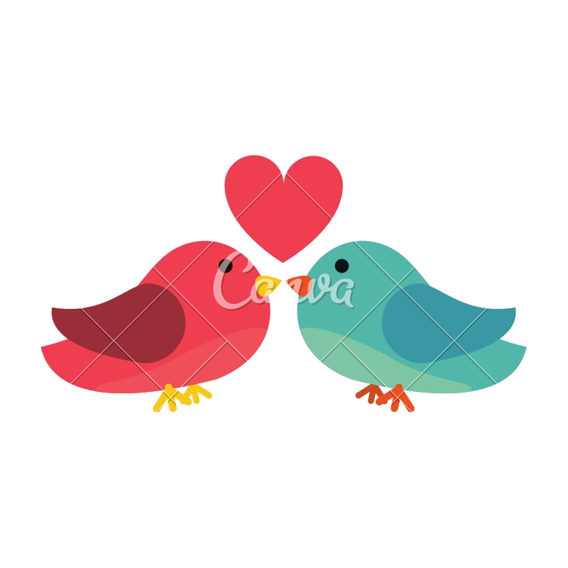 800x800 Love Birds Vector