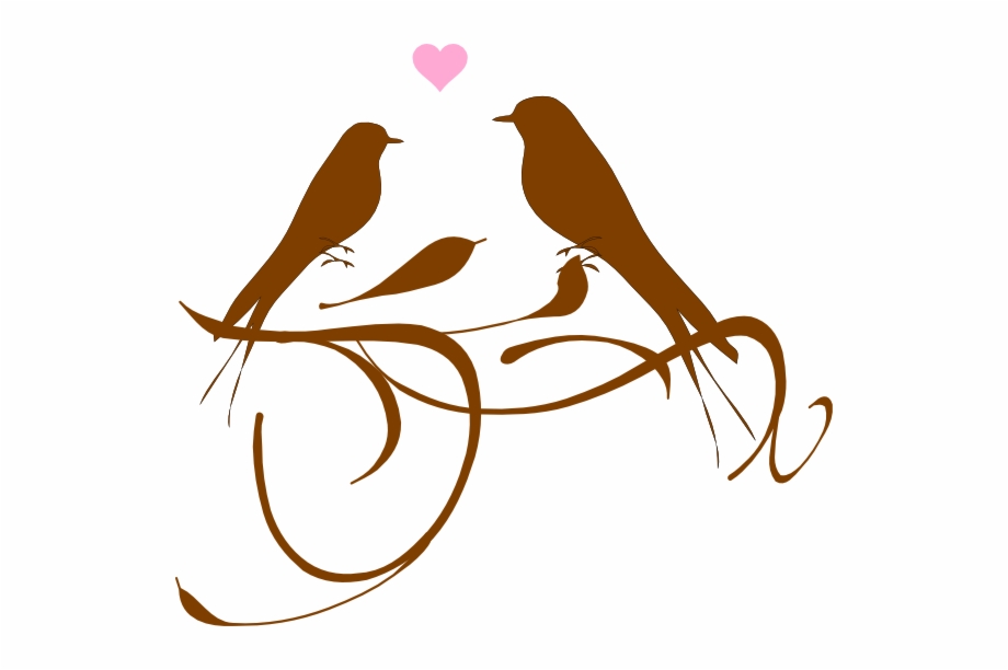 920x612 Love Birds Vector Png