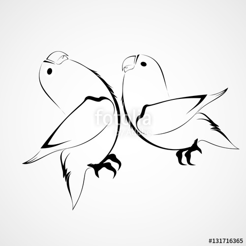 500x500 Lovebird Vector Stock Image And Royalty Free Vector