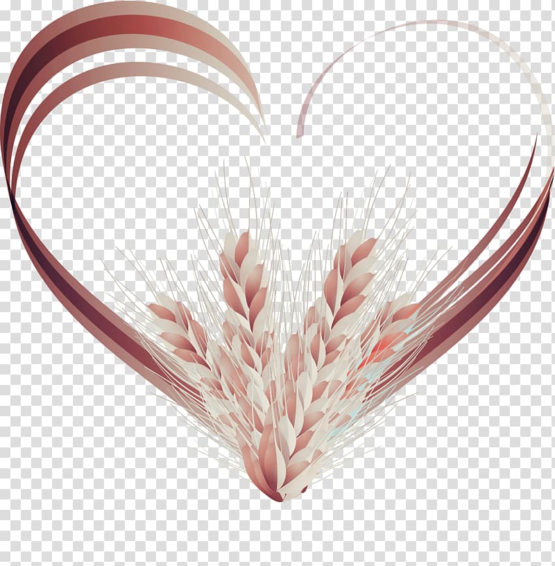 800x816 Brown Heart Wheat Adobe Illustrator Euclidean Love Wheat