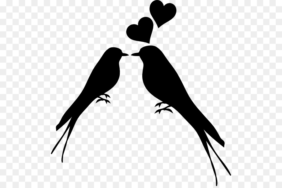 900x600 Huge Collection Of 'lovebird Silhouette' Download More Than