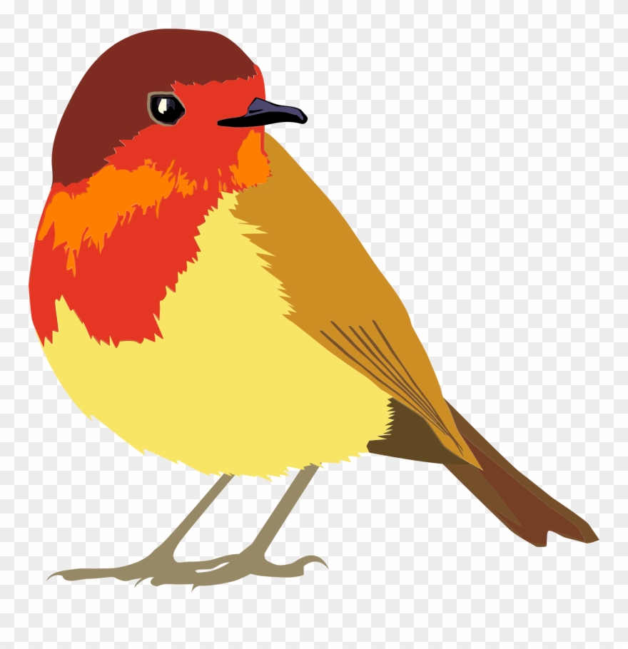 880x910 Lovebird European Clip Art Quail Transprent Png