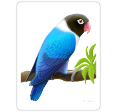 375x360 Lovebird Png Hd Transparent Lovebird Hd Images