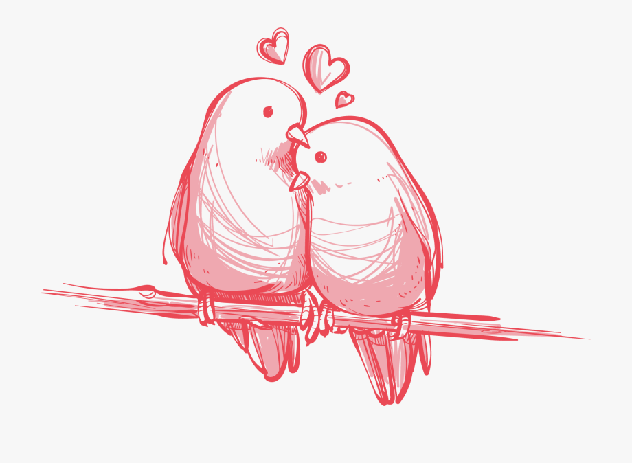 920x674 Birds Vector Love Bird