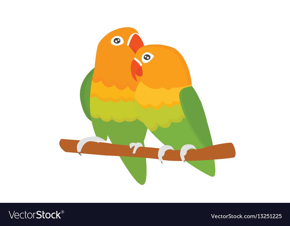1000x780 Parrot Lovebird Vector Images Lovely Birds Cartoon