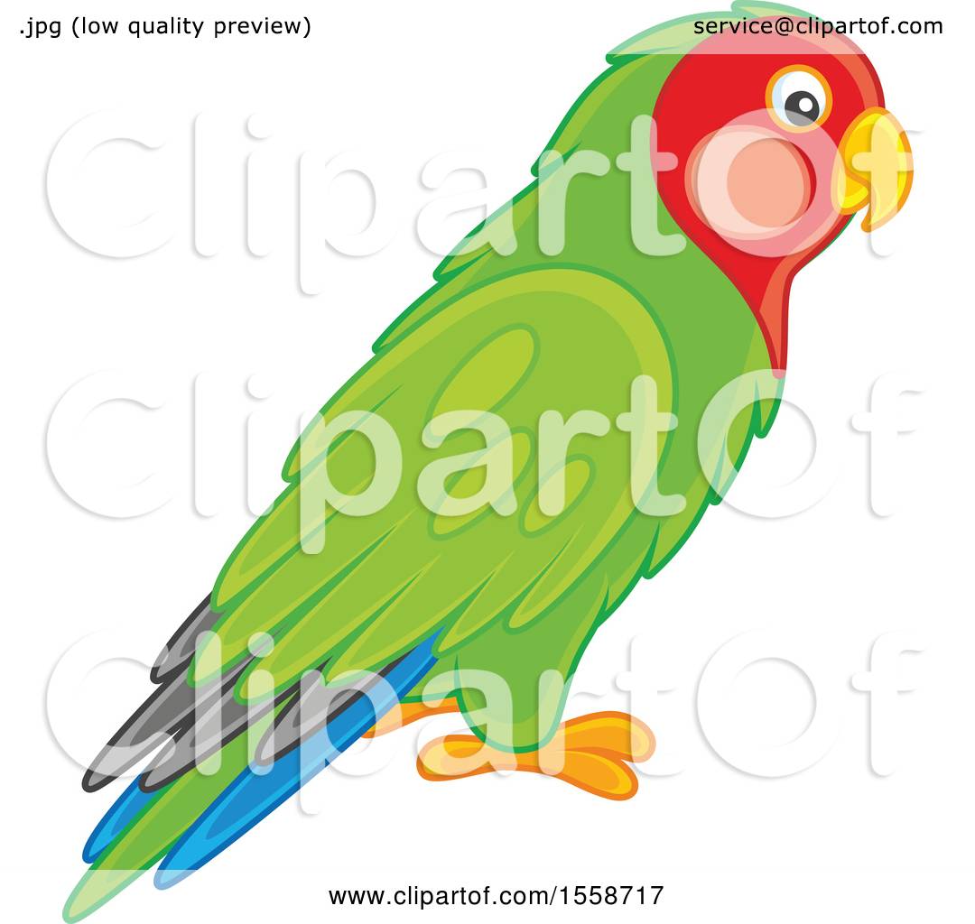 1080x1024 Clipart Of A Green Lovebird