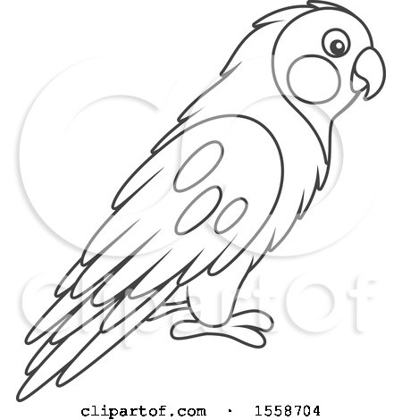 450x470 Clipart Of A Lineart Lovebird