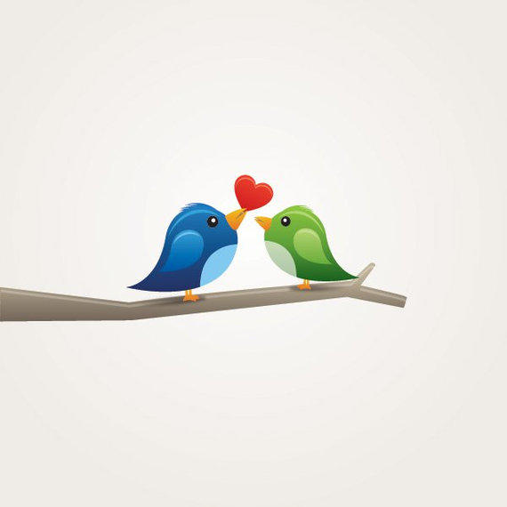 570x570 Cute Lovebirds On Tree Branch