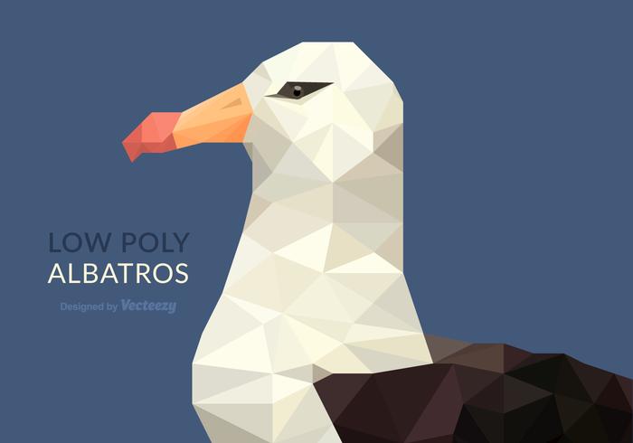 700x490 Low Poly Albatros Vector Illustration