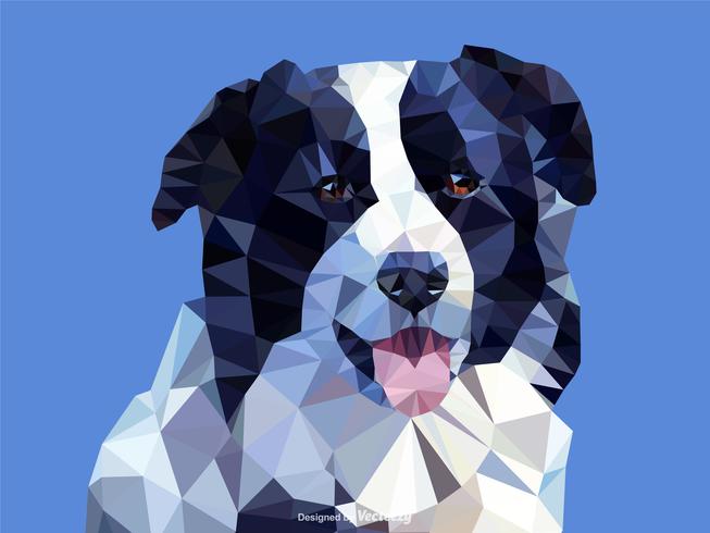 653x490 Abstract Border Collie Dog Portrait In Low Poly Vector Design
