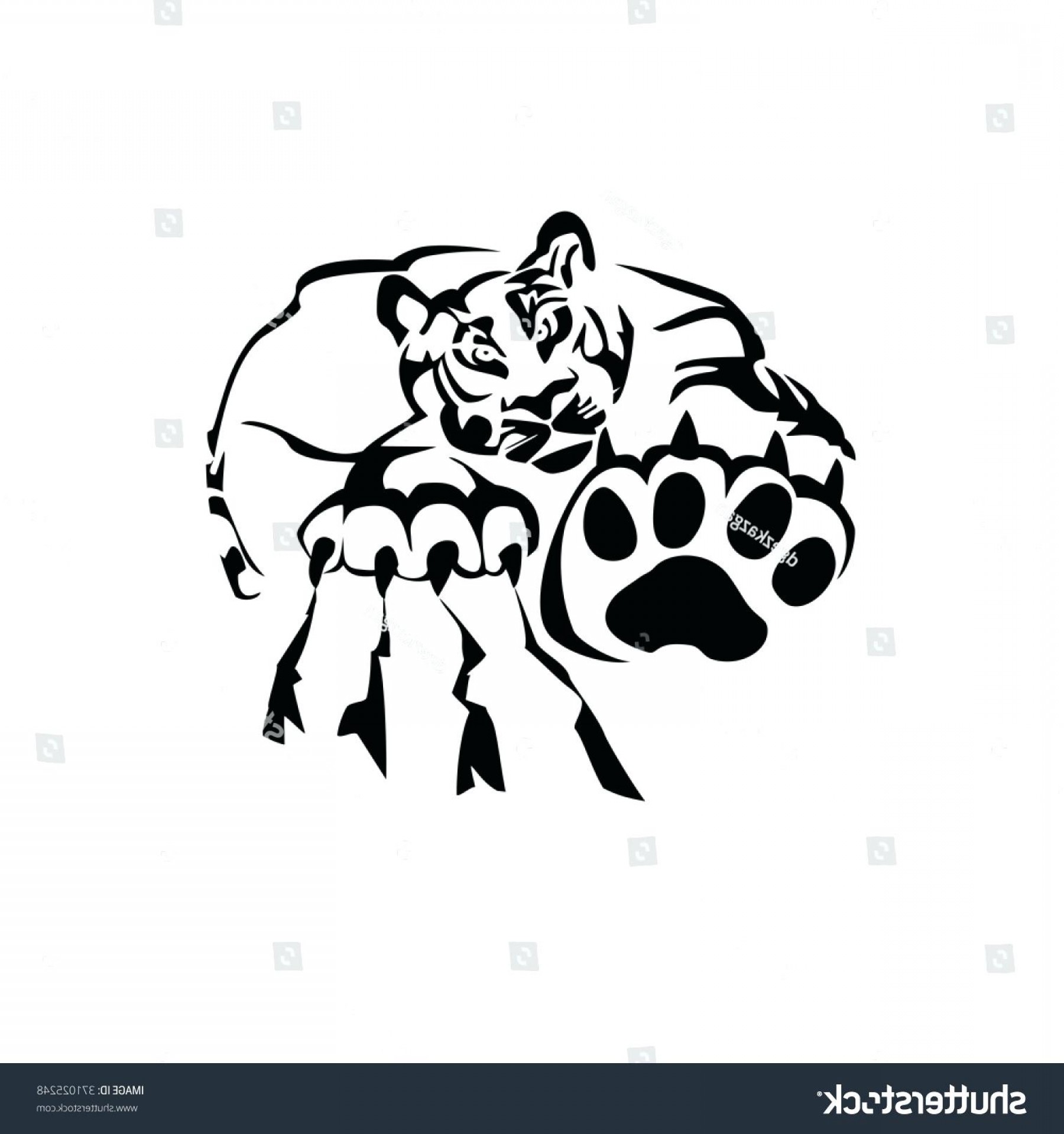 1800x1920 Lsu Tiger Head Vector Hoodamath