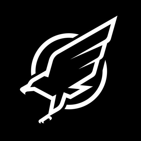 470x470 Eagle Logo, Emblem Monochrome Logo Vector Illustration