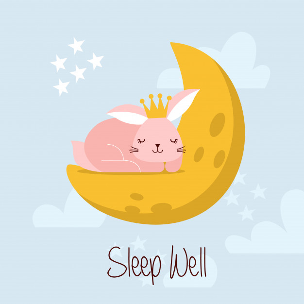 626x626 Sono De Coelhinho Fofo Na Lua Vector Plana Baixar