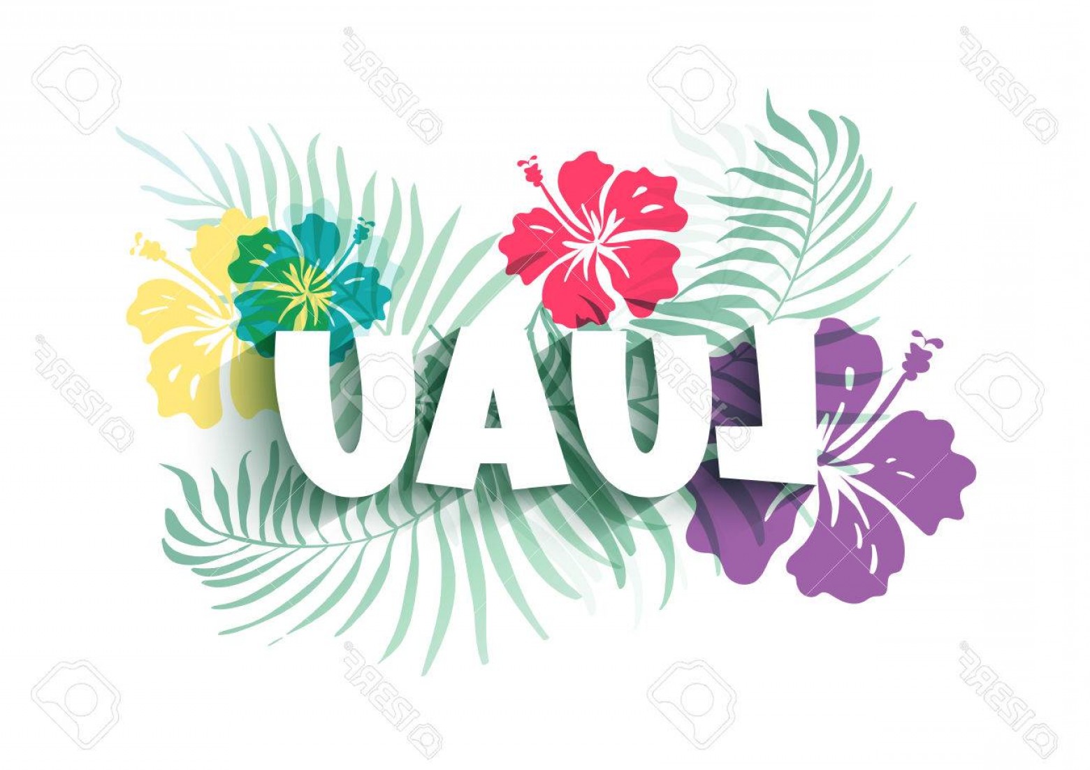 1560x1102 Luau Vector Createmepink