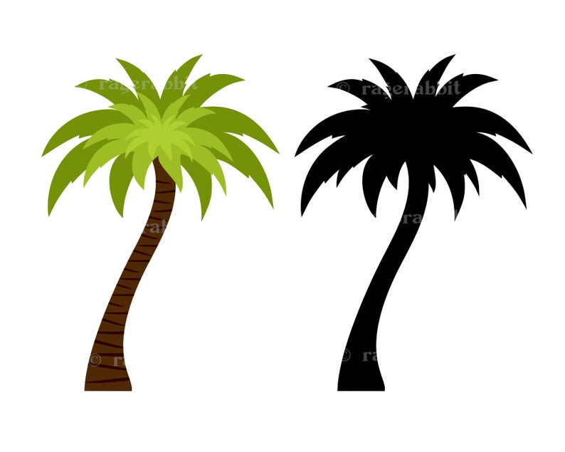 794x635 Palm Tree Hawaii Luau Vector Illustration Exotic Etsy