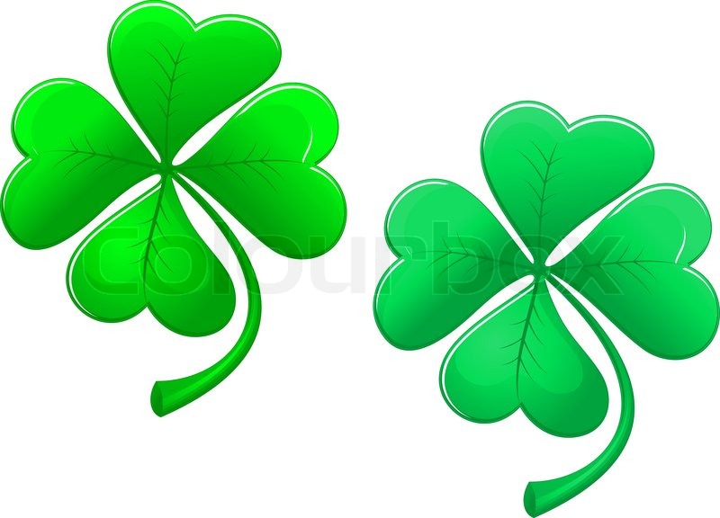 800x576 Green Lucky Clover Isolated On White Stock Vector Colourbox