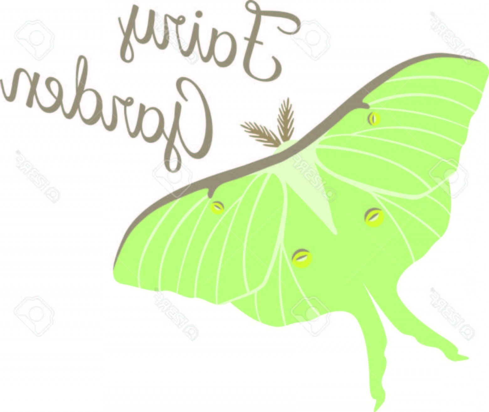 1560x1315 Vector Luna Moth Savoyuptown