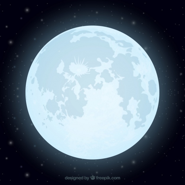 626x626 Luna Vectors, Photos And Free Download