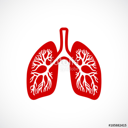Lungs Vector