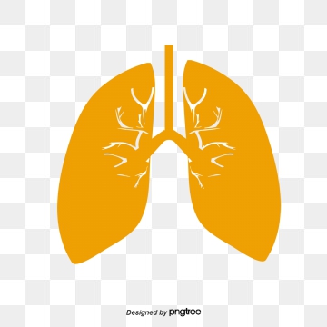 360x360 Lung Vector, Free Download Lungs, Lunge, The Lungs Vector Art
