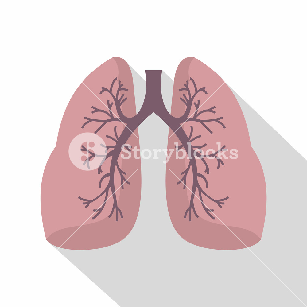 1000x1000 Lungs Icon Flat Illustration Of Lungs Vector Icon For Web Royalty