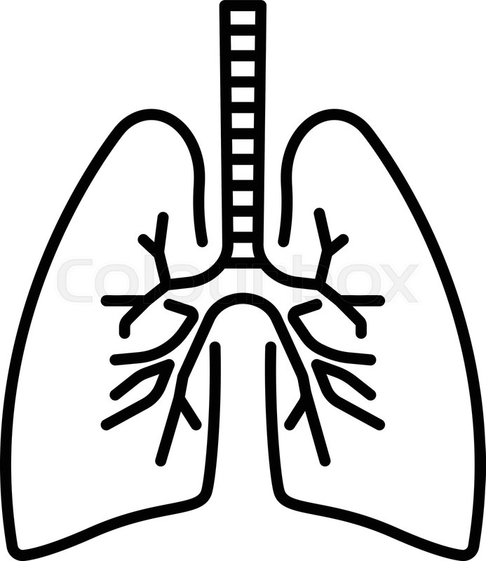 693x800 Lungs Icon Outline Lungs Vector Icon Stock Vector Colourbox