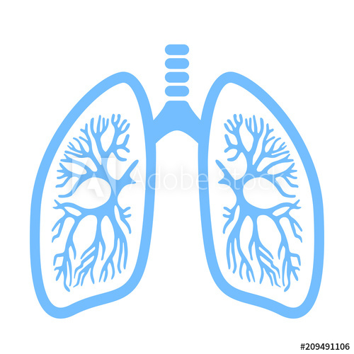 500x500 Lungs Vector Icon