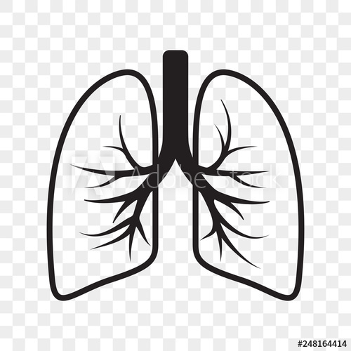 500x500 Lungs Vector Outline Icon Cold Cough And Bronchitis Lung Disease