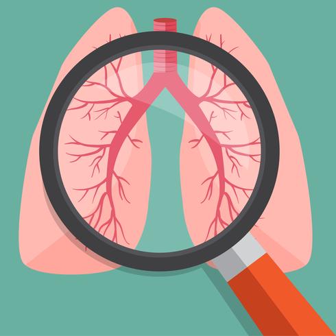 490x490 Magnifying Glass On Lungs Vector Illustration