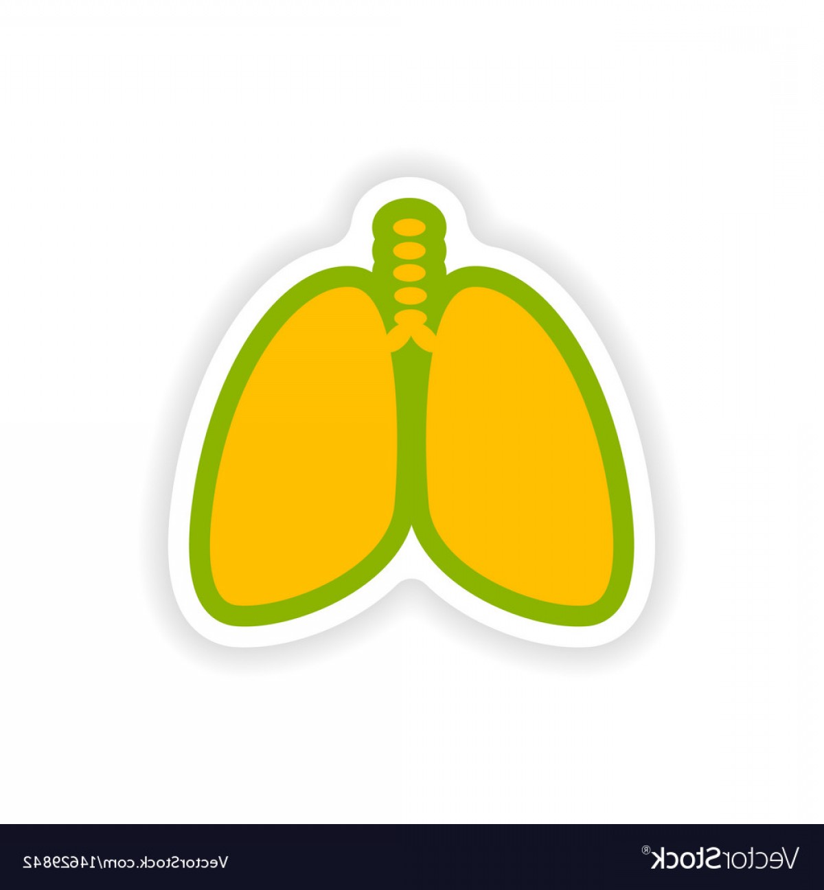 1200x1296 Paper Lungs Vector Hoodamathrun