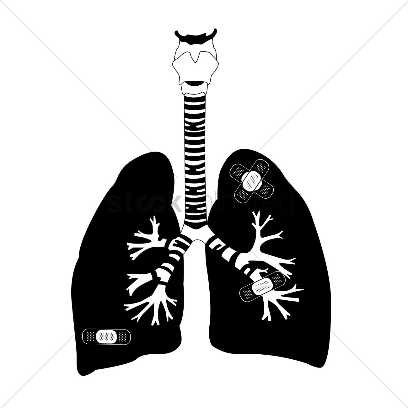 1300x1300 Patched Lungs Vector Image