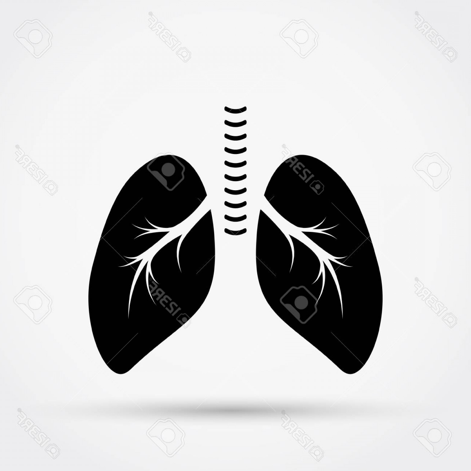 1560x1560 Photostock Vector Black Silhouette Of Lungs Vector Icon Catchsplace