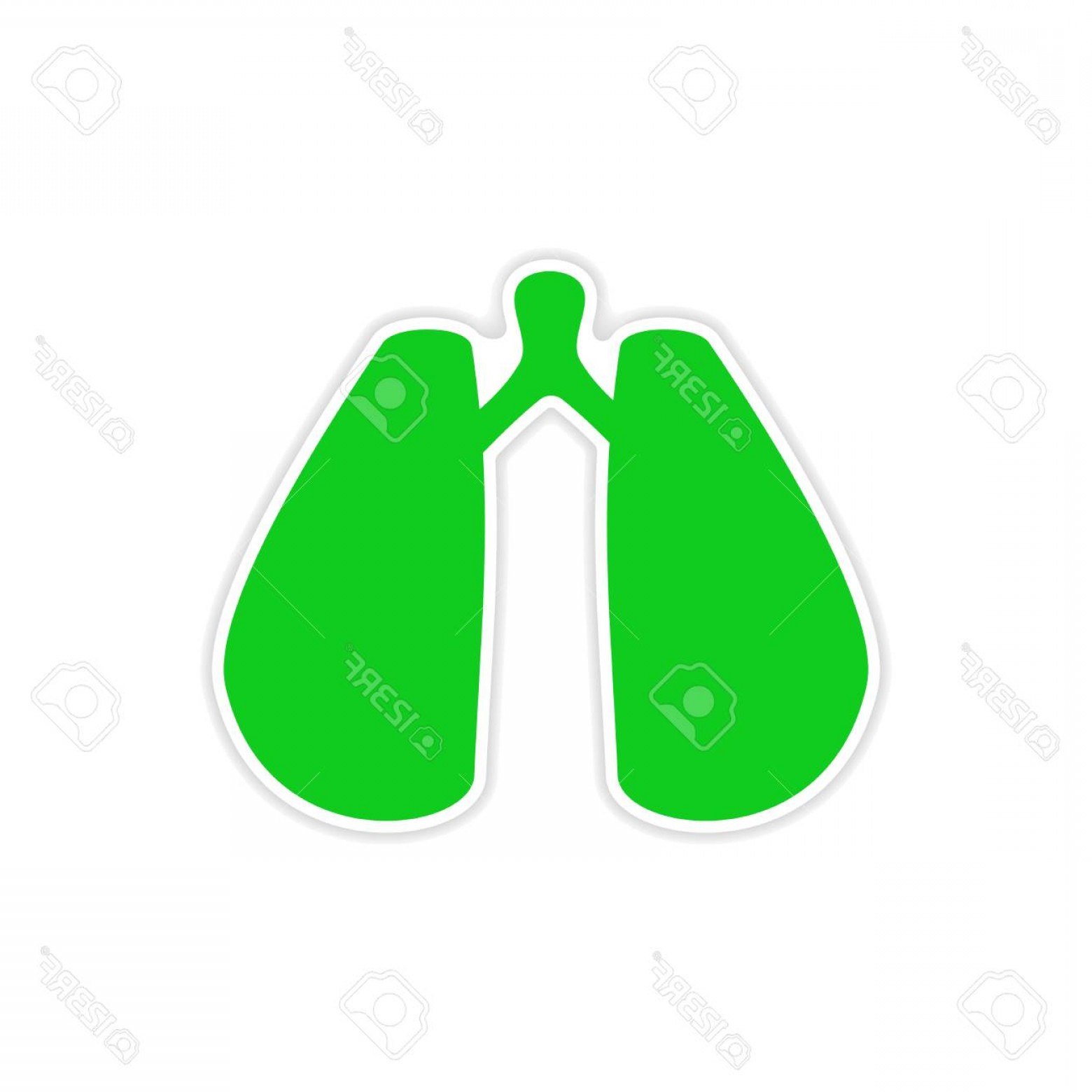 1560x1560 Photostock Vector Icon Sticker Realistic Design On Paper Lungs