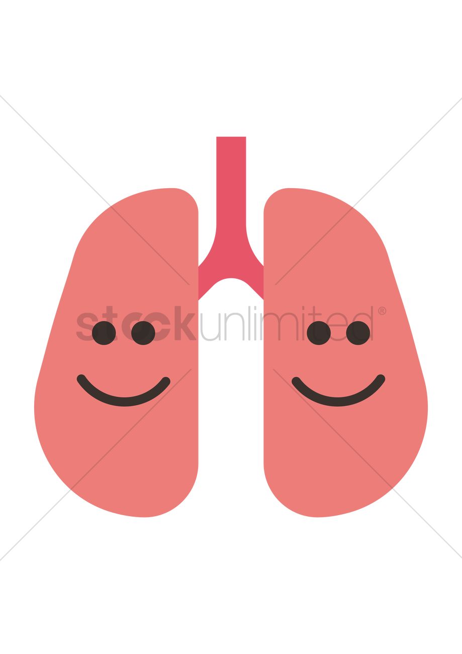 919x1300 Healthy Lungs Vector Image