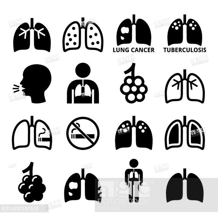 701x700 Human Body Parts