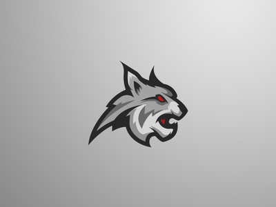 400x300 Logo Design Lynx
