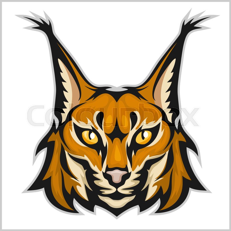 800x800 Lynx Mascot Logo Head Of Lynx Stock Vector Colourbox
