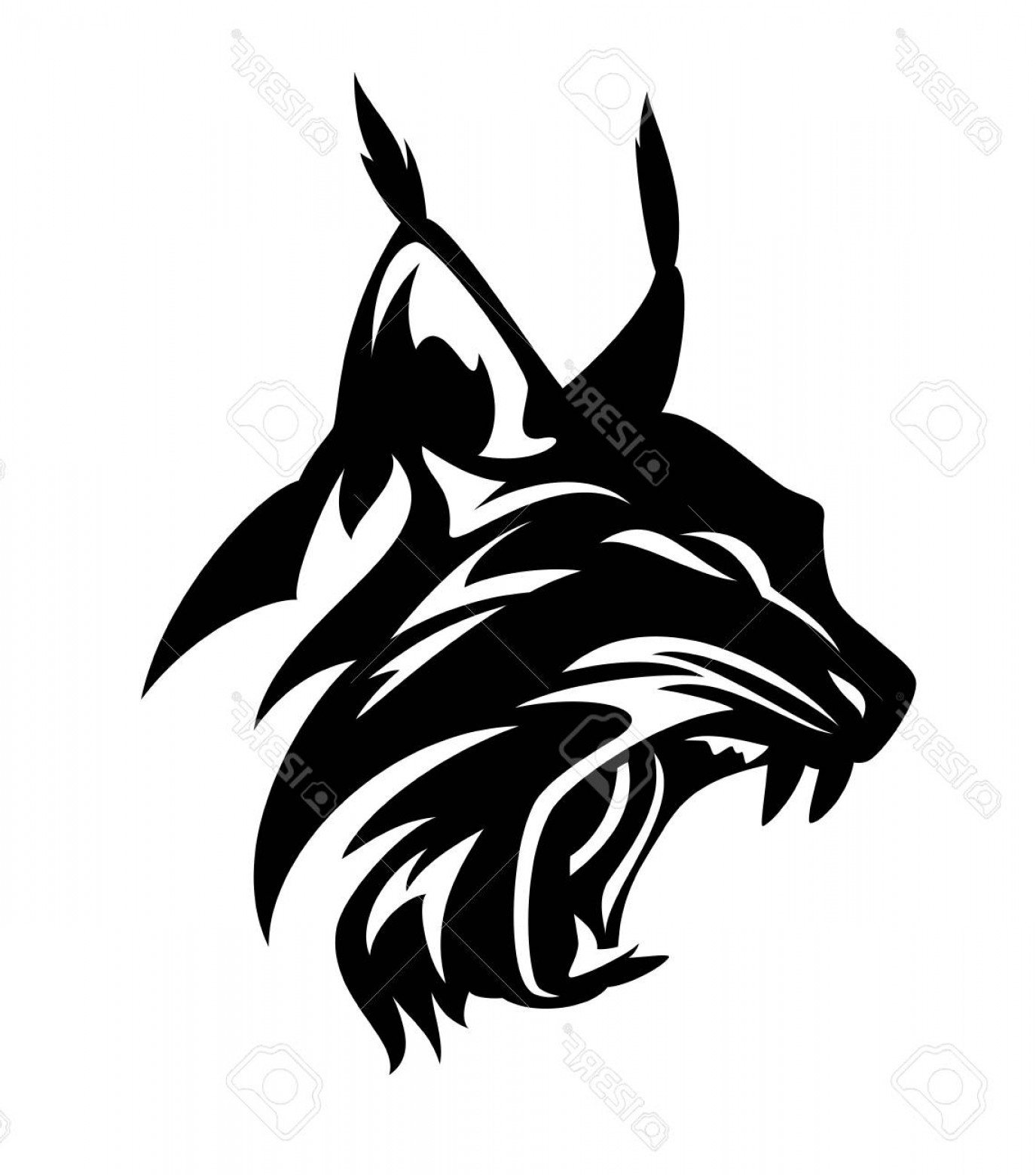 1375x1560 Photostock Vector Angry Lynx Head Black And White Vector Design
