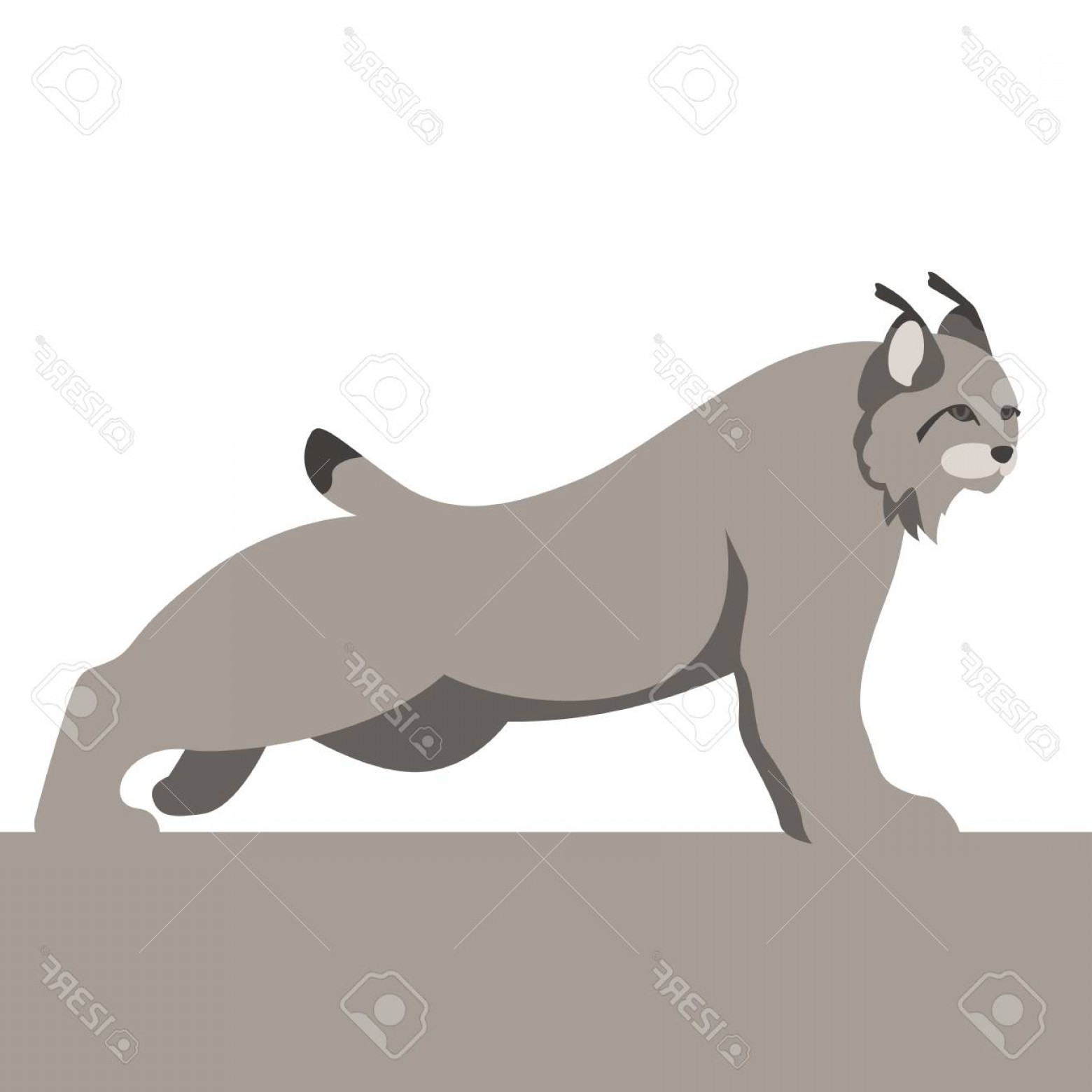 1560x1560 Lynx Vector Geekchicpro