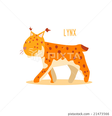 450x468 Lynx Vector Illustration