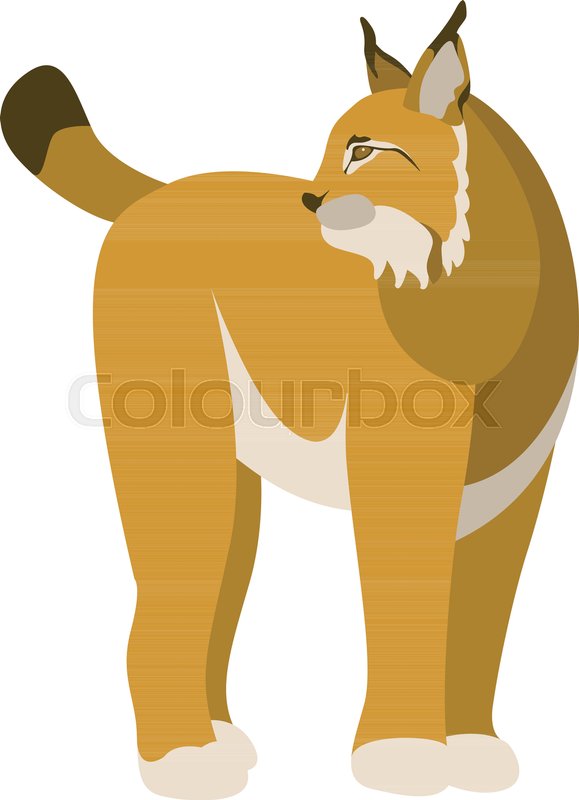 579x800 Lynx Vector Illustration Style Flat Stock Vector Colourbox