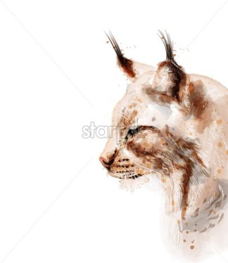 324x374 Lynx Vector Watercolor Isolated On White Background Animal Lovely