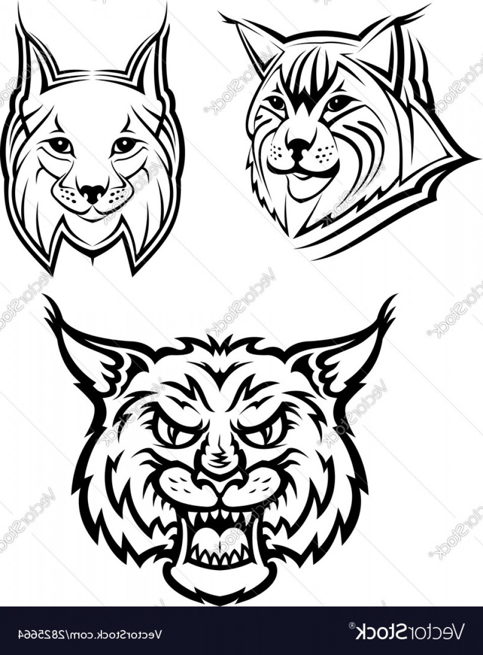 955x1296 Wild Bobcat Or Lynx Mascots Vector Catamart