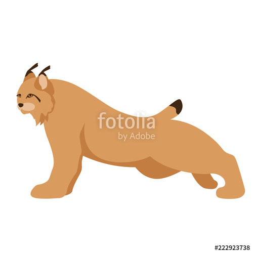 500x500 Lynx Vector Illustration Flat Style Profile Side Stock Image
