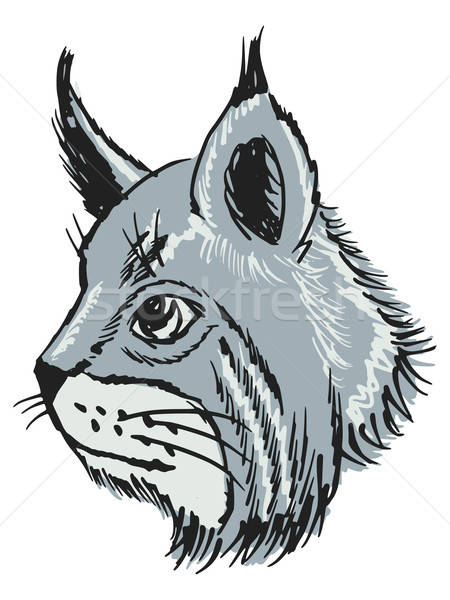 450x600 Lynx Vector Illustration Oleksandr Kovalenko