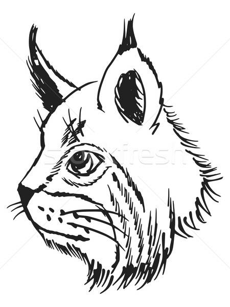 450x600 Lynx Vector Illustration Oleksandr Kovalenko