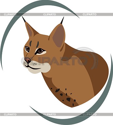 364x400 Lynx Stock Vector Graphics Cliparto
