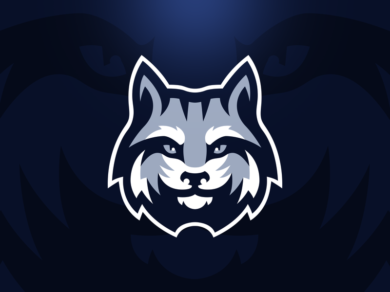 800x600 Lynx Logo Design